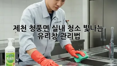 제천 청풍면 실내 청소: 빛나는 유리창 관리법