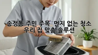 송정동 주민 주목! ✨ 먼지 없는 청소, 우리 집 맞춤 솔루션 🏡