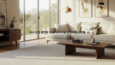 ✨ 숙소 청결 끝판왕! 호텔 & 숙박 시설 청소 비법 대방출 🧹